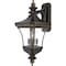 Quoizel Devon Outdoor Wall Lantern DE8961IB - alternate 1